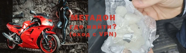прущие грибы Рославль