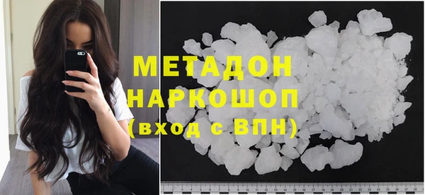 прущие грибы Рославль