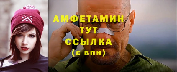 прущие грибы Рославль