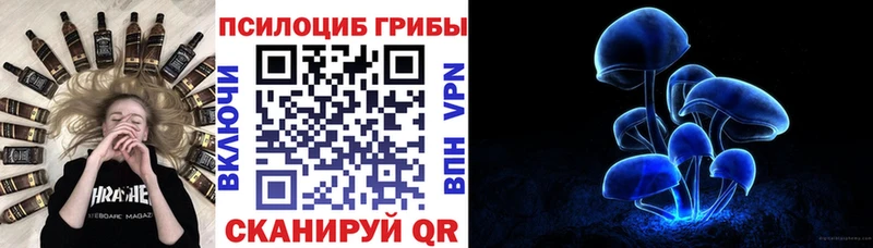 Псилоцибиновые грибы GOLDEN TEACHER  наркошоп  Абдулино 